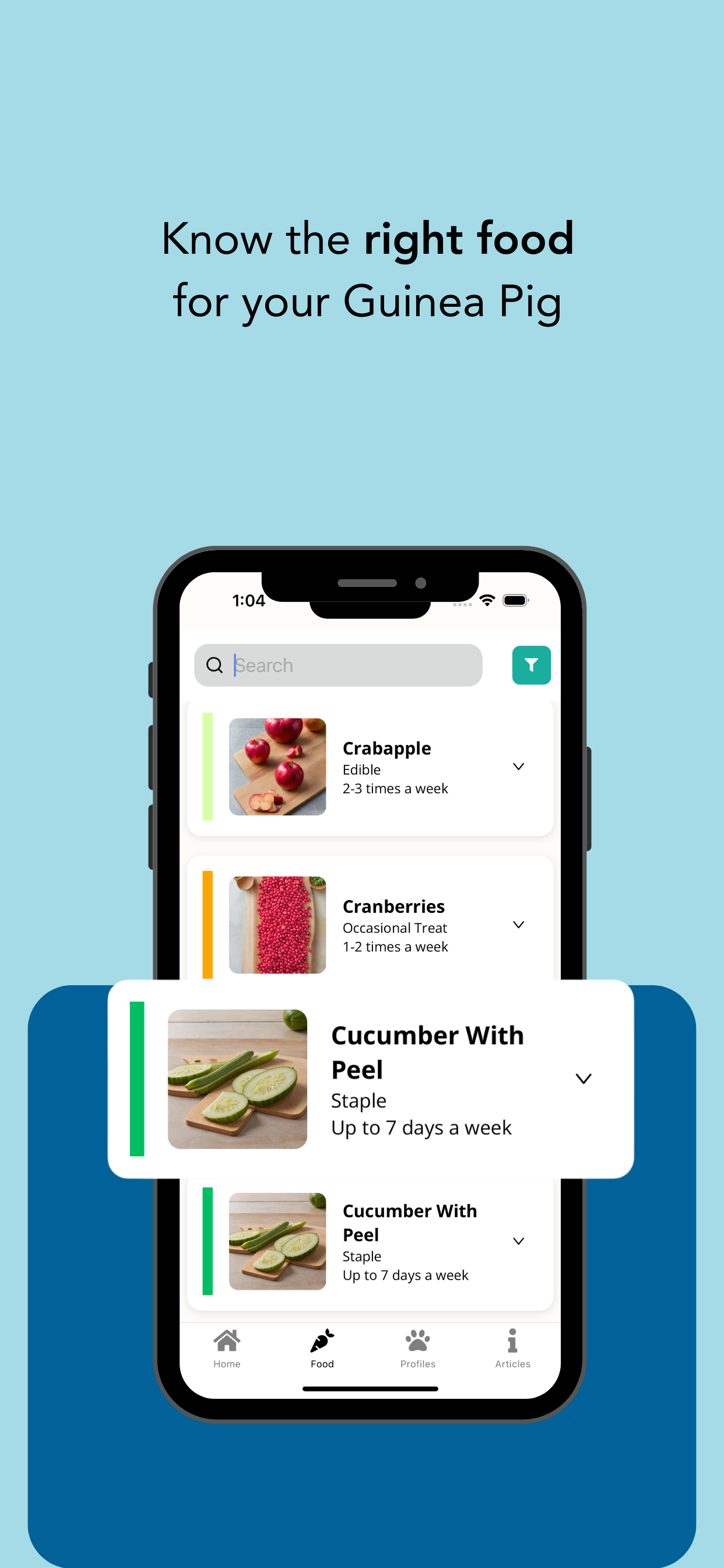 Guinea Pig Bowl - Feeding Schedule