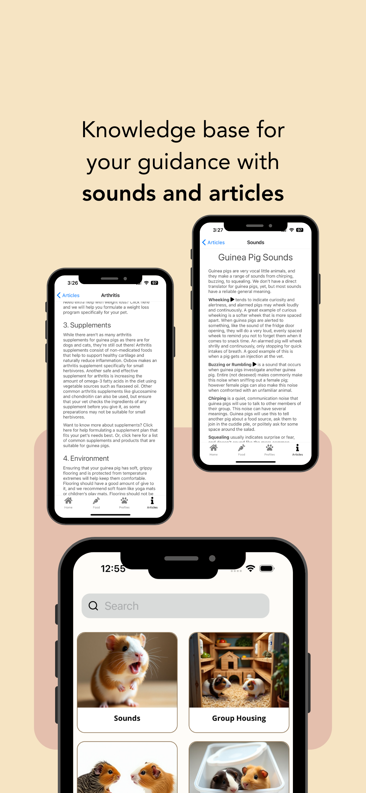 Guinea Pig Bowl - Care Tips